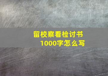 留校察看检讨书1000字怎么写