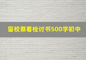 留校察看检讨书500字初中