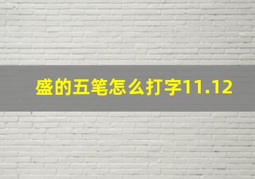 盛的五笔怎么打字11.12