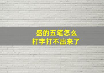 盛的五笔怎么打字打不出来了