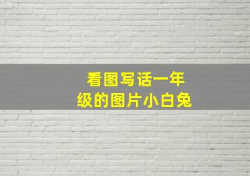 看图写话一年级的图片小白兔