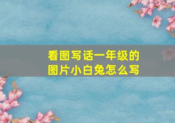 看图写话一年级的图片小白兔怎么写