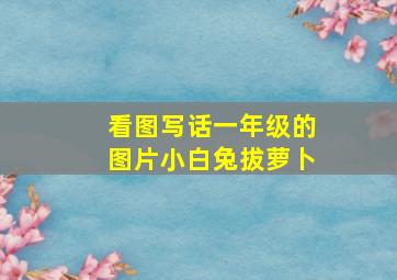 看图写话一年级的图片小白兔拔萝卜