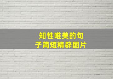 知性唯美的句子简短精辟图片