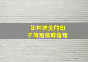 知性唯美的句子简短精辟短句