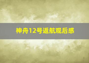 神舟12号返航观后感