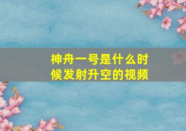 神舟一号是什么时候发射升空的视频