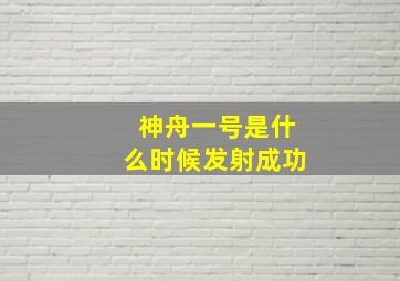 神舟一号是什么时候发射成功