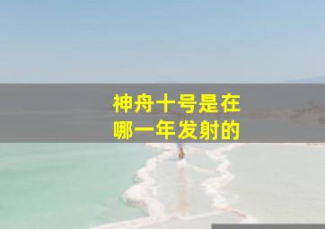 神舟十号是在哪一年发射的