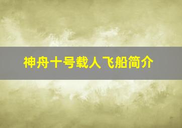 神舟十号载人飞船简介