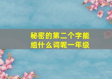 秘密的第二个字能组什么词呢一年级