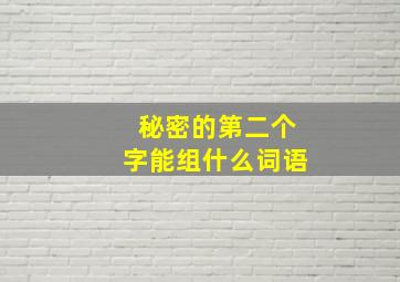 秘密的第二个字能组什么词语