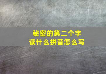 秘密的第二个字读什么拼音怎么写