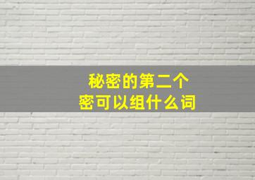 秘密的第二个密可以组什么词