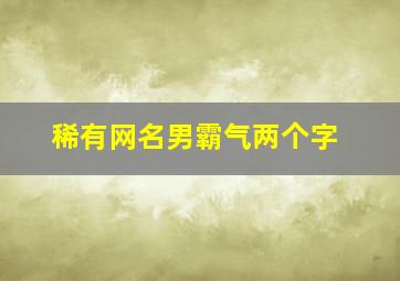 稀有网名男霸气两个字