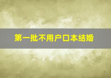 第一批不用户口本结婚