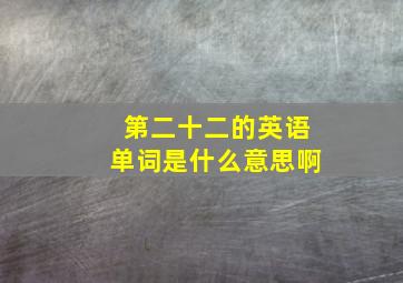 第二十二的英语单词是什么意思啊