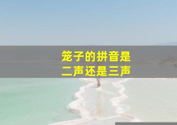 笼子的拼音是二声还是三声