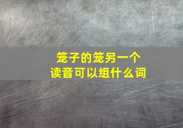 笼子的笼另一个读音可以组什么词