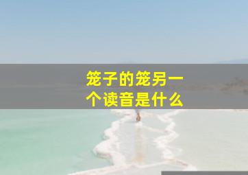 笼子的笼另一个读音是什么