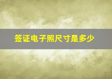 签证电子照尺寸是多少