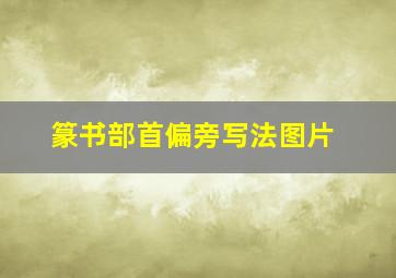 篆书部首偏旁写法图片