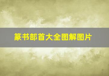 篆书部首大全图解图片