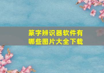 篆字辨识器软件有哪些图片大全下载