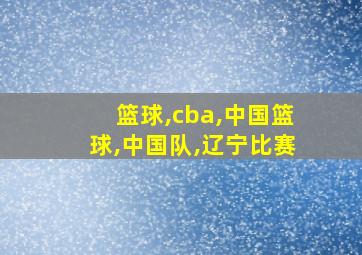 篮球,cba,中国篮球,中国队,辽宁比赛