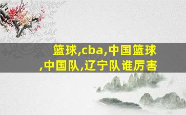 篮球,cba,中国篮球,中国队,辽宁队谁厉害