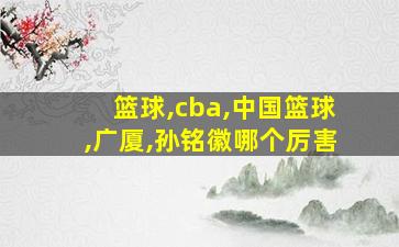 篮球,cba,中国篮球,广厦,孙铭徽哪个厉害