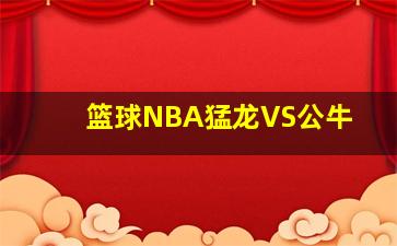 篮球NBA猛龙VS公牛