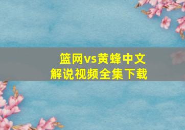 篮网vs黄蜂中文解说视频全集下载