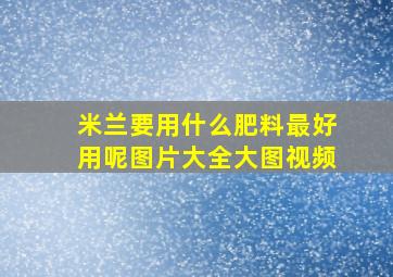 米兰要用什么肥料最好用呢图片大全大图视频