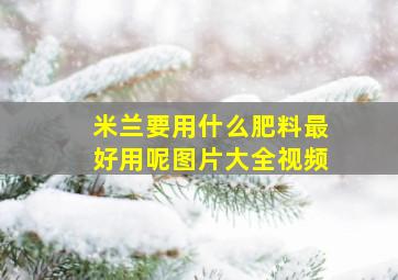 米兰要用什么肥料最好用呢图片大全视频