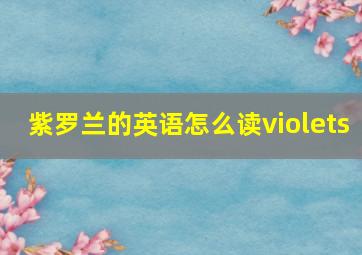 紫罗兰的英语怎么读violets