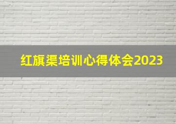 红旗渠培训心得体会2023