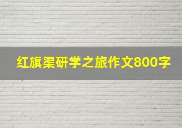 红旗渠研学之旅作文800字