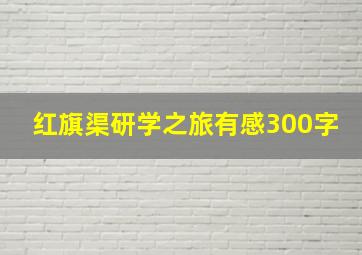 红旗渠研学之旅有感300字