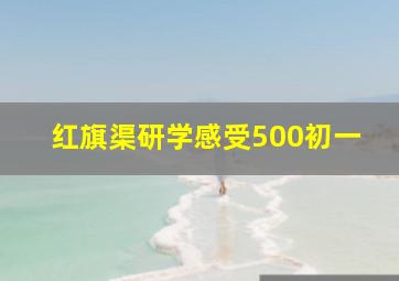 红旗渠研学感受500初一