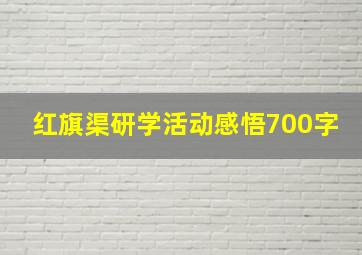 红旗渠研学活动感悟700字