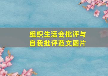 组织生活会批评与自我批评范文图片