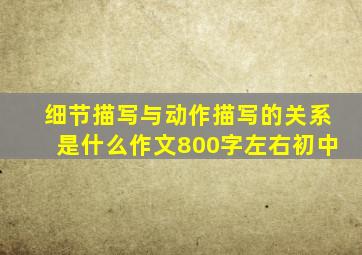 细节描写与动作描写的关系是什么作文800字左右初中