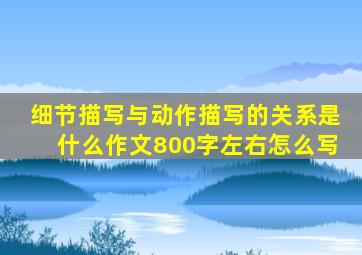 细节描写与动作描写的关系是什么作文800字左右怎么写