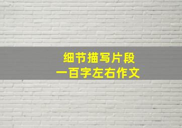 细节描写片段一百字左右作文