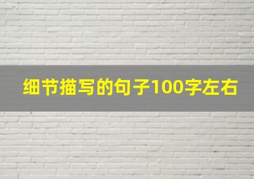 细节描写的句子100字左右