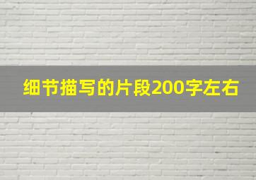 细节描写的片段200字左右