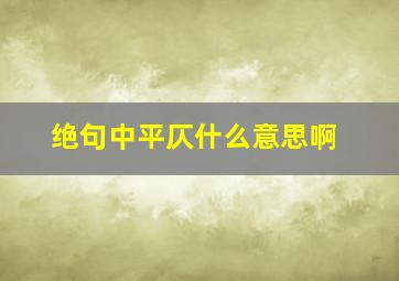 绝句中平仄什么意思啊