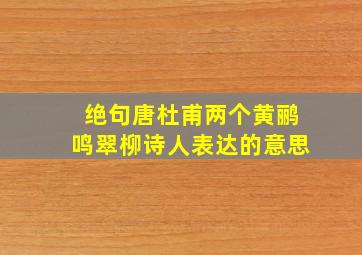 绝句唐杜甫两个黄鹂鸣翠柳诗人表达的意思