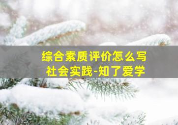 综合素质评价怎么写社会实践-知了爱学